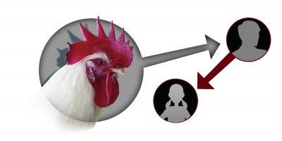 һҳ