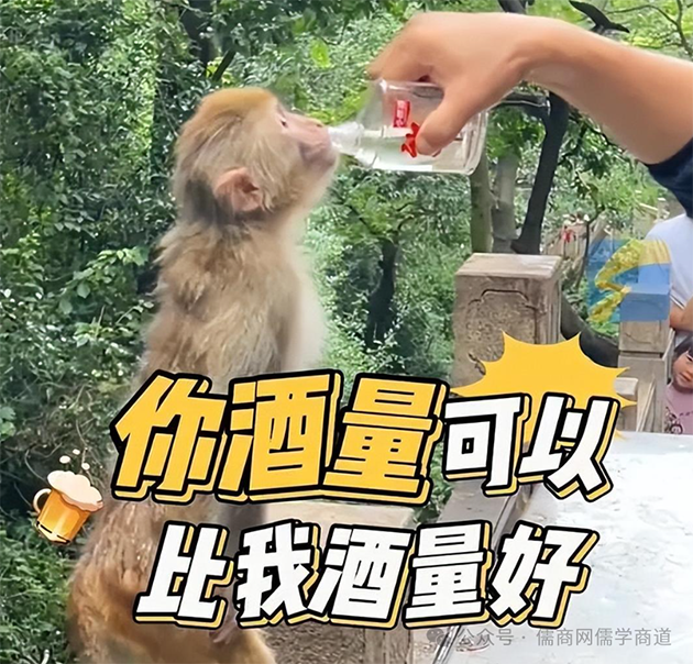 20250823籨ӵԮٱŮϻϼ飻ƺſԭ¶үι׾ƿ