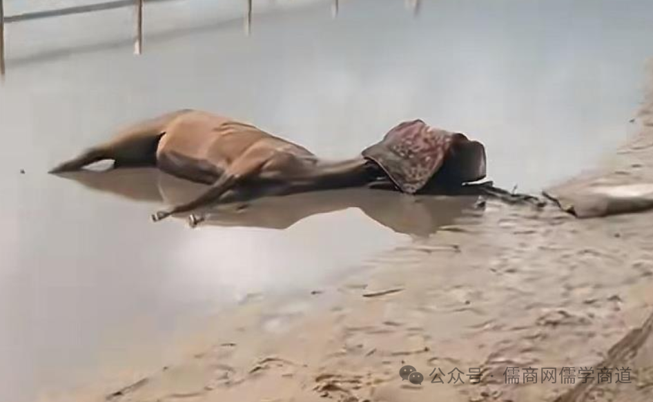 20250801籨2й˶Ϯ飻31궳̥ӤŮڻĿԱ飻οͱҪƵɸ