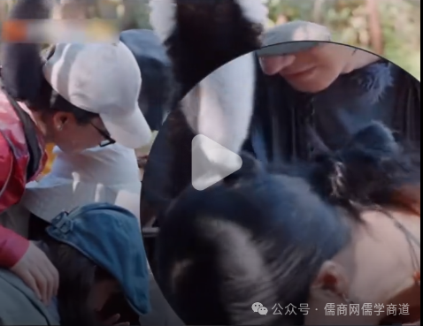 【20250824晚报】日俄兵争色丹岛;朝军摧毁乌多辆装甲车;那英惨被猴子薅头;猪头离体50分钟后被中国医生复活