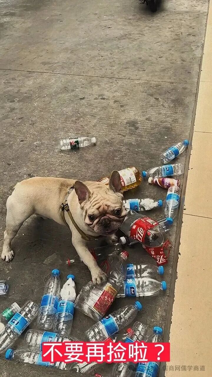 【20250902晚报】限定时间俄罗斯护照免签;特朗普用数字货币重建加沙;洪秀柱参加北京九三阅兵;张学友老了;小狗沉迷捡瓶子走红