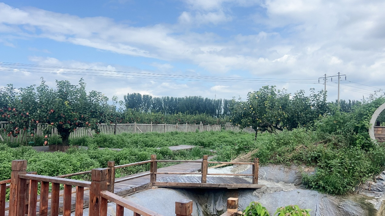 冬天多吃窦店梨——窦店金梨园的绿色有机与健康之道