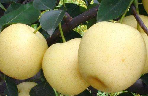 ����������ʹڣ�����԰��ġ��г������