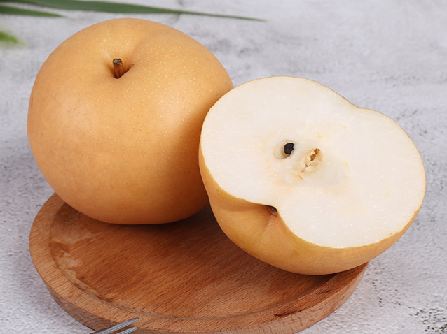 后起之秀·圆黄:窦店梨园引进的韩国风味