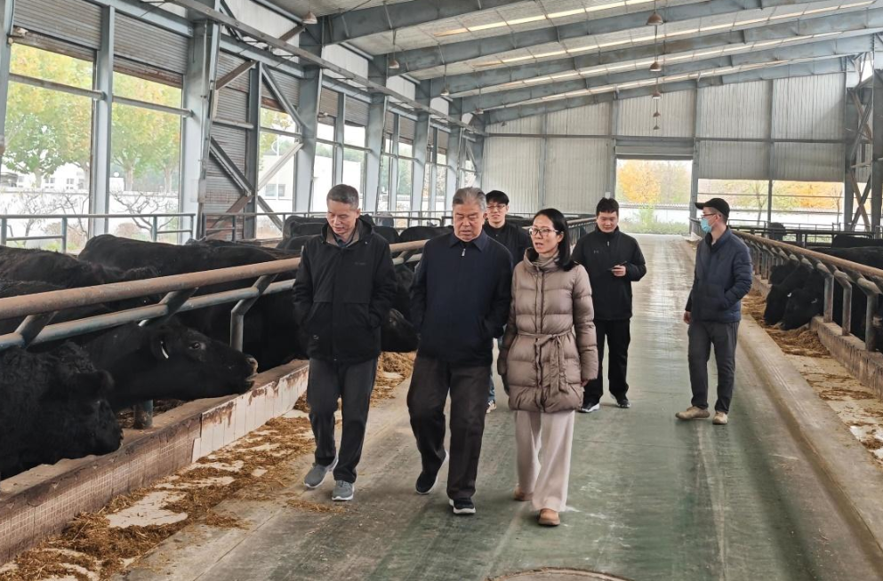 ��׼Ӫ�����ǻ���ֳ��������ҵ�뱱��ũѧԺЯ����д��ţ��ҵ������ƪ��